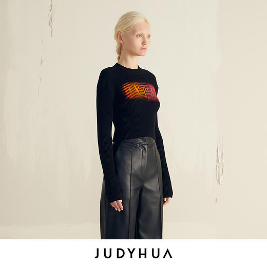 JUDYHUA 手绘丙烯针织上衣 商品图1