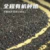 素养生活有机熟黑芝麻150g 芝麻 黑芝麻 熟芝麻 免洗即食 烘焙辅料 商品缩略图0