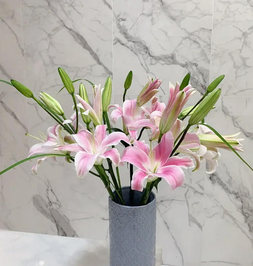 【罗宾百合】 百合 10支/扎 以实物为准 云南基地发货（价格已包含包装费用） 运费以实际为准，多退少补。 商品图4