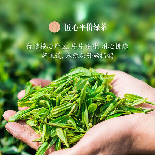 张宴志绿茶200g礼盒装 商品图4