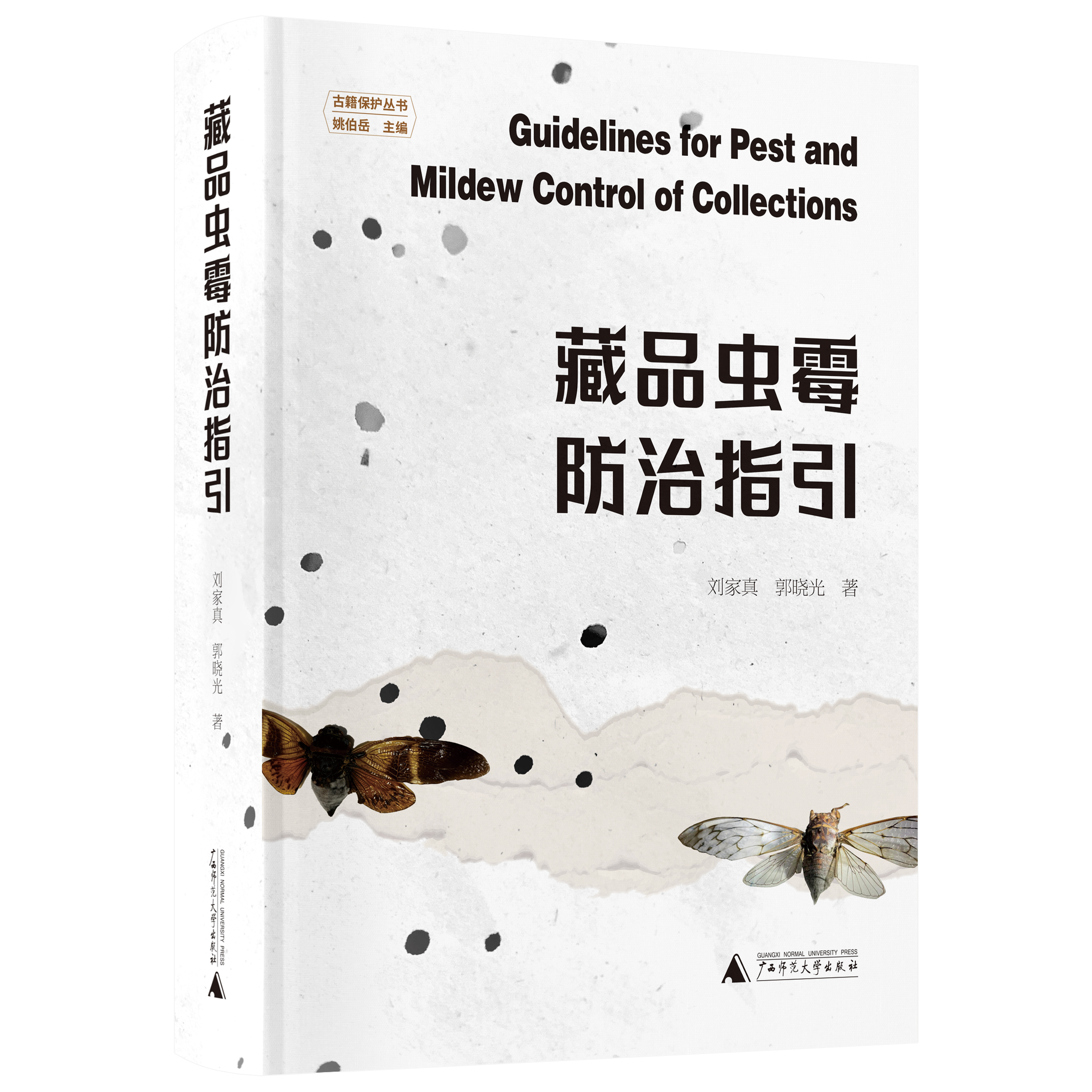 藏品虫霉防治指引