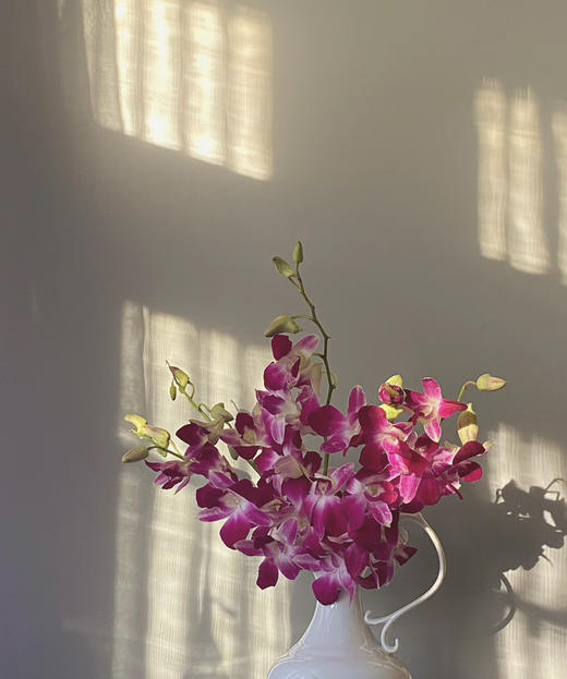 【经典流传色彩】泰国洋兰 紫色 12枝/扎 多规格可选 商品图1