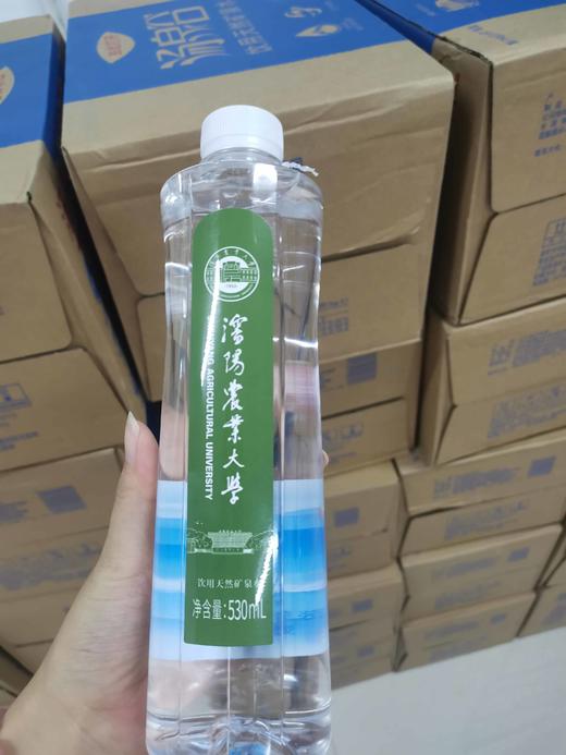 汤泉谷沈农定制矿泉水 商品图1