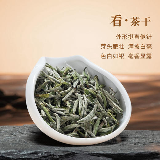 魏氏茶  魏氏陈·白毫银针(2010年份)  10g/盒 商品图3