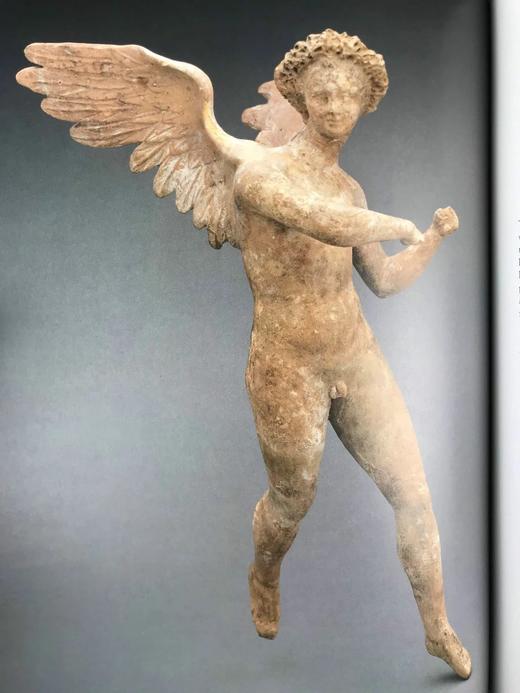 弗洛伊德古董收藏图集 100幅插图 精装大16开 商品图7