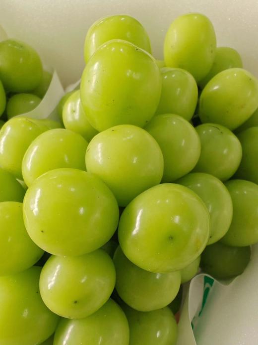 【产地直采】49.9元整件（10斤左右）特级晴王葡萄 商品图1