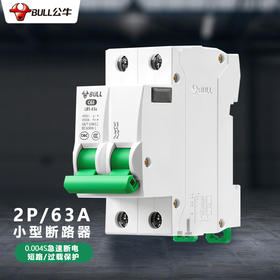 【DZ】公牛BULL空气开关LB5-63a/63A-2P/C型断路器400V