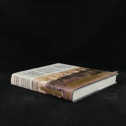 美国内战图史 500余幅插图 精装16开 商品图1