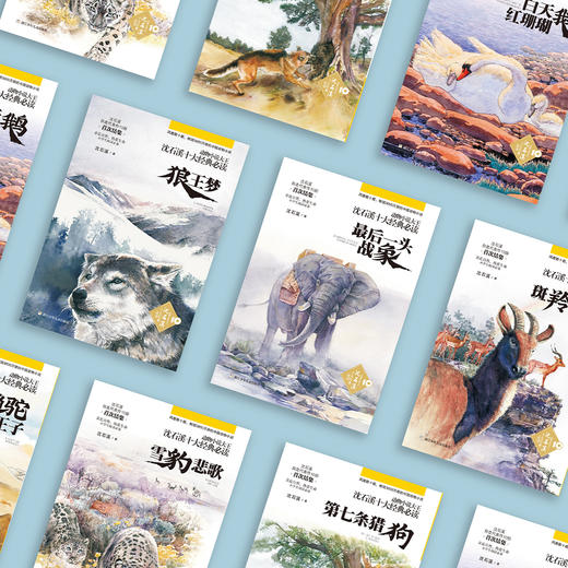 动物小说大王沈石溪·十大经典必读（全10册） 商品图11