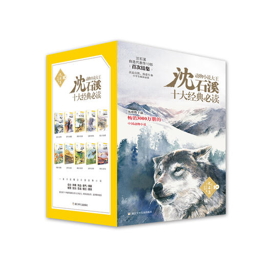 动物小说大王沈石溪·十大经典必读（全10册） 商品图0