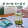 南京雨花茶200g匠心系列礼盒装 商品缩略图3