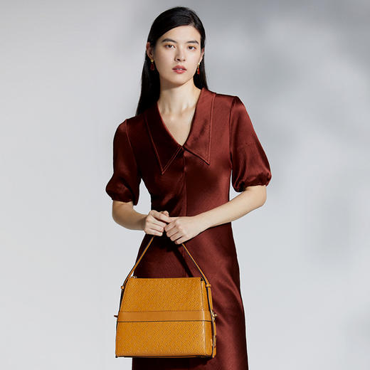 保兰德PLD东方雅奢新礼物45度老花水桶包头层牛皮腋下包单肩斜挎通勤必备女包 商品图3