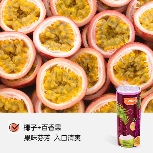 意文椰子气泡水饮料 商品图3