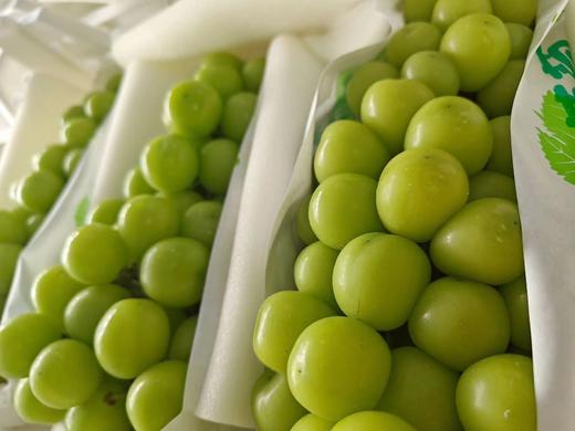 【产地直采】49.9元整件（10斤左右）特级晴王葡萄 商品图2