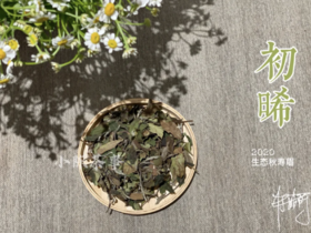 【60克罐装】2020有机秋寿眉《初晞》带来秋的沉韵，甜花香、野蘑菇香