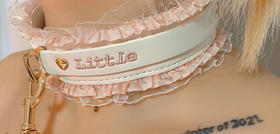 Little girl💖的禁忌游戏