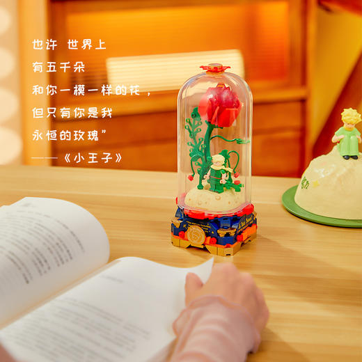 拼奇小王子唯一的玫瑰 商品图2