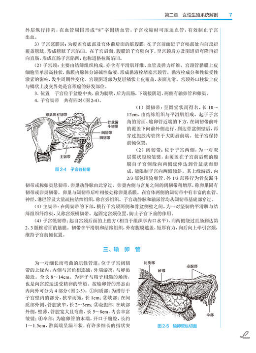 西医妇产科学 第5版 刘志宏 全国中医药高职高专教育教材 供中医学针灸推拿中医骨伤临床医学等专业用9787117349796人民卫生出版社 商品图3