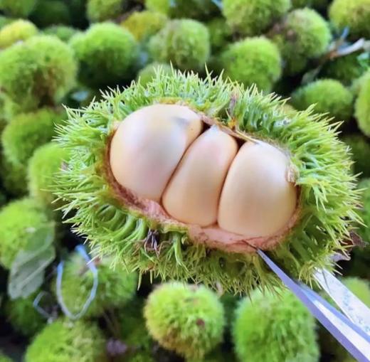 【严选】中秋500元套餐B（内含8个单品） 商品图2