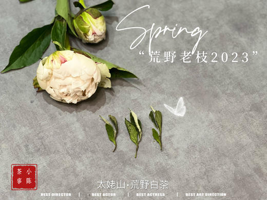 【2023春茶】2023荒野老枝，今年请称呼它荒野白牡丹，够荒，够苍老，荒野气韵厚重深长 商品图7