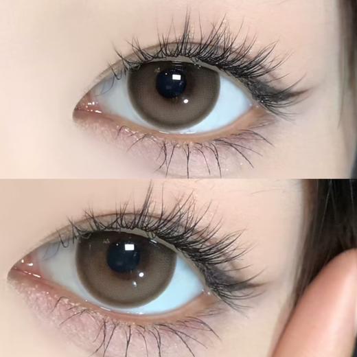 papadox 半年抛 声声乌龙 直径14.2mm着色13.6mm 商品图7