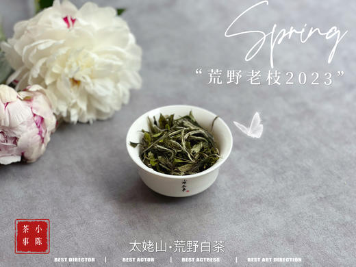 【2023春茶】2023荒野老枝，今年请称呼它荒野白牡丹，够荒，够苍老，荒野气韵厚重深长 商品图11