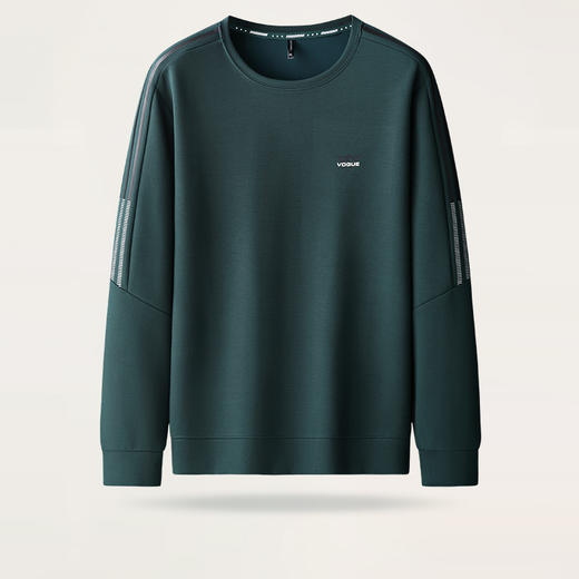 【新款DK】大依优型大码长袖卫衣圆领套头加肥加大宽松休闲秋冬上衣男士百搭 商品图0