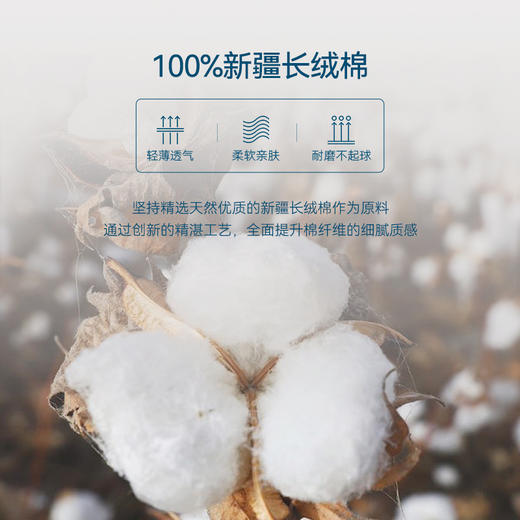 十如仕小方领斜纹千鸟格纹免烫长袖衬衫-301-24 商品图3