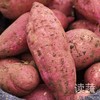情圆蜜薯|生态种植|农场自产 商品缩略图2