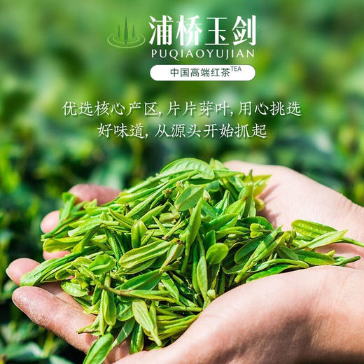 浦桥玉剑红茶150g木盒装 商品图2