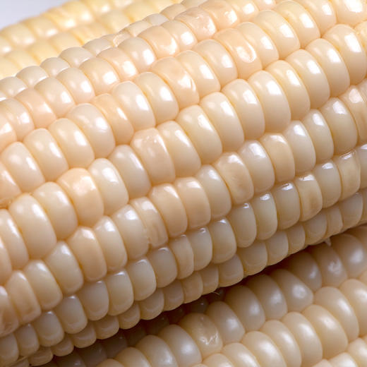 甜糯玉米（高叶酸）8根礼盒装 商品图1