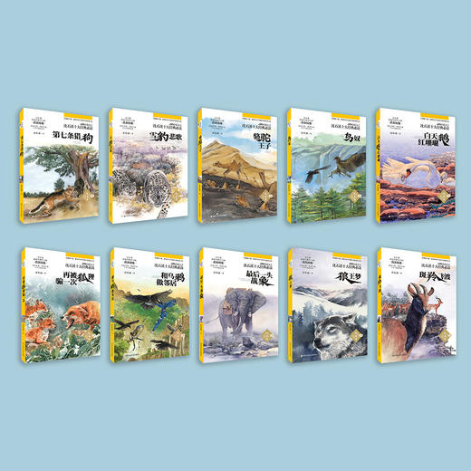 动物小说大王沈石溪·十大经典必读（全10册） 商品图1