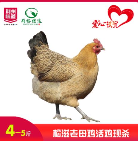 【严选】中秋500元套餐B（内含8个单品） 商品图3