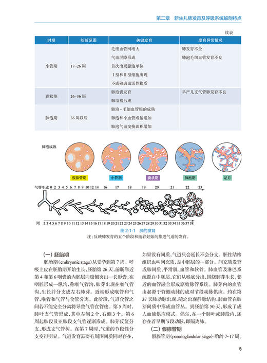 新生儿机械通气技术 附视频 巨容 新生儿危重症常用的抢救技术应用并发症发生护理 新生儿及儿科专业医师参考书 人民卫生出版社 商品图4