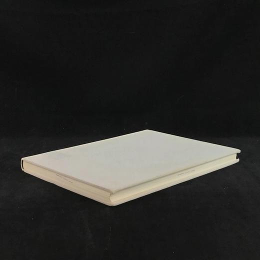 惠斯勒画集 110幅插图（55幅彩色） 精装大16开 商品图1