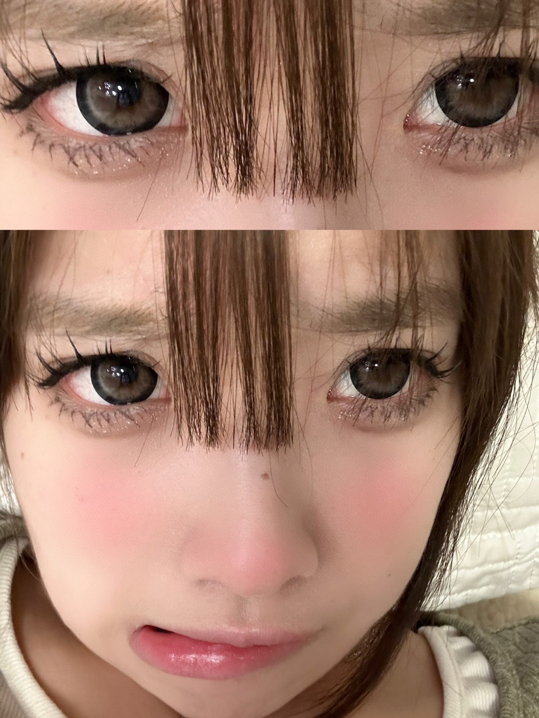 Springcon美瞳 心动小熊 14.5mm