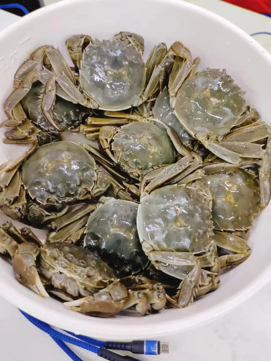 盘锦全母河蟹2斤