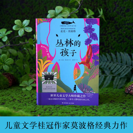 丛林的孩子   木七下山     四年级共读套装正版现货速发|名师推荐|小学生课外阅读4年级 商品图1