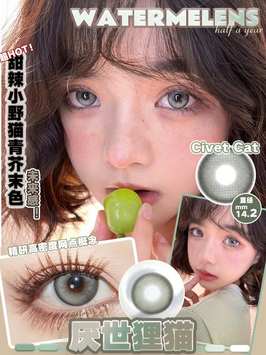 watermelens 半年抛 狼人传说&厌世狸猫 灰褐/绿 14.2mm  含硅水凝胶 商品图4
