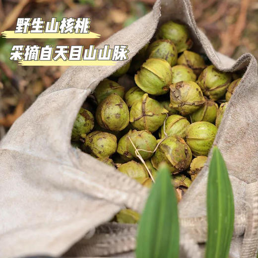 【临安山核桃仁】2025新货上市，每罐60±2克，买4送1，买8送2，每年100000+单，除了少量的糖、盐，无其他添加，松脆酥爽，自然酥香松脆，停不下嘴，上班、追剧、闲聊，好伴侣 商品图4