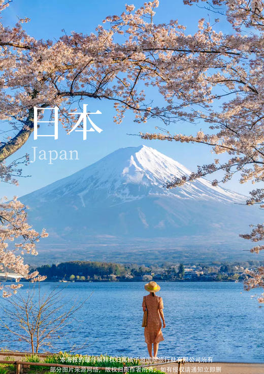 日本签证（三个月单次） 商品图0