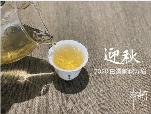 2020《迎秋》，S师傅的手痒之作，一款过喉不忘的秋寿眉 商品图6