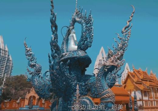 【国庆大象义工亲子营丨跟随亚洲象的步伐探索西双版纳】原始热带雨林亲子徒步｜走进中国面积最大的中科院植物园｜当一回「亚洲象志愿者」获得志愿者证书+公益时长｜走进古老村寨，探寻少数民族文化，制作非遗手工 商品图8