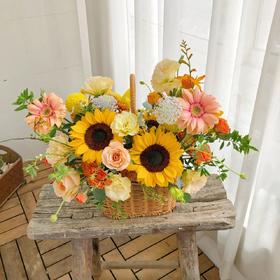 拥抱满怀（向日葵手提篮）