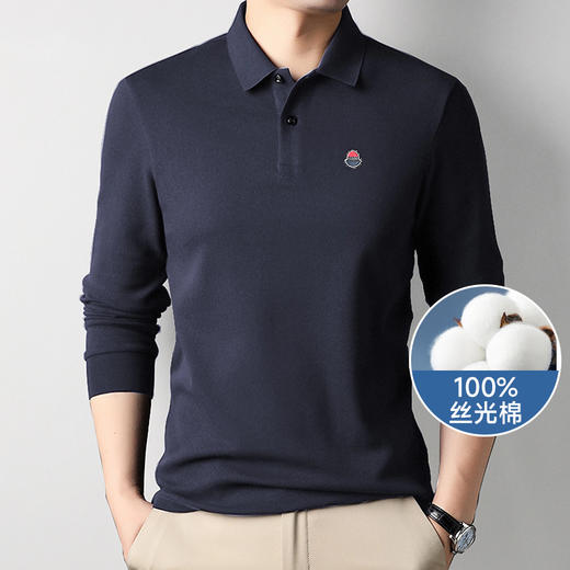 【一口价】【丝光棉100%】【新款DK】大依优型大码长袖Polo衫全棉翻领加肥加大肥佬休闲商务宽松透气上衣秋装 商品图6