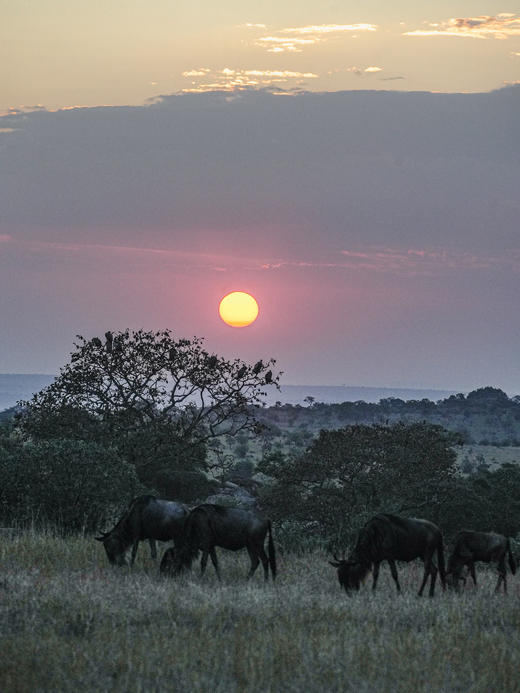 坦桑尼亚定制2026年7月 （7天6晚）10大1小 商品图5