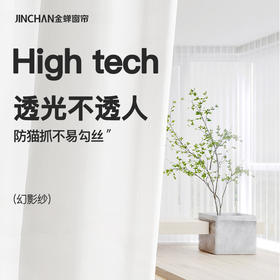 #幻影纱#金蝉防猫抓透光不透人纱帘