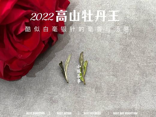 2022牡丹王，长在了银针的毫香和稠汤上，毫香清新而花香怡人（100克罐装） 商品图6