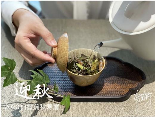 2020《迎秋》，S师傅的手痒之作，一款过喉不忘的秋寿眉 商品图2