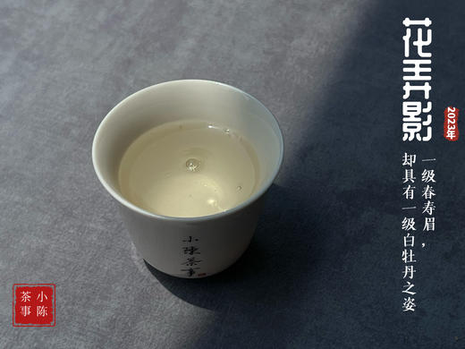 2023一级春寿眉花弄影，水石榕+春兰+广玉兰的香气，具有一级白牡丹之姿，极富春之气韵 商品图11